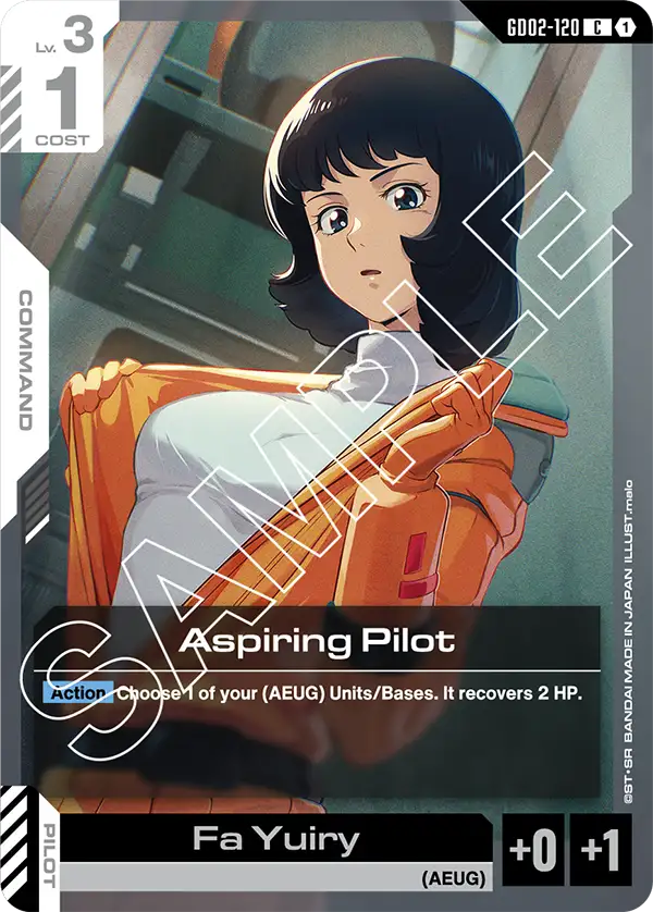 Aspiring Pilot