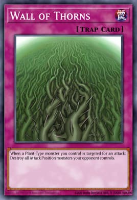 Wall of Thorns