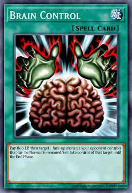 Brain Control